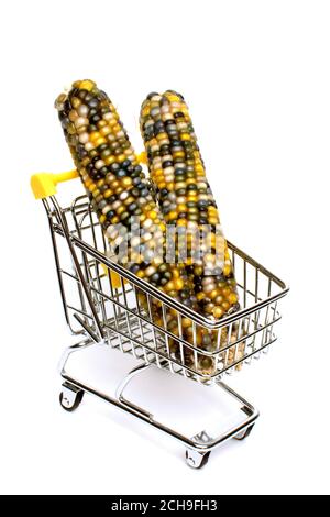 Maïs coloré sur l'épi affiché dans un panier d'achat pour une présentation attrayante du marché Banque D'Images