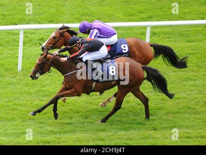 Jet Setting, monté par Shane Foley (front), remporte les Tattersalls Irish 1,000 Guinéas devant Minding, monté par Ryan Moore, au cours du deuxième jour du festival irlandais des Tattersalls Guinéas à l'hippodrome de Curragh. Banque D'Images