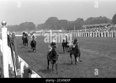 Le Brigadier Gerard, monté par Joe Mercer, battant le challenger irlandais Parnell (à droite), avec Willie Carson en haut, d'une longueur et demie dans les plus riches des enjeux du roi George VI et de la reine Elizabeth, d'une valeur de 60,000 £ pour le gagnant. La troisième par cinq autres longueurs est Riverman, monté par F Head. Le résultat porte la séquence inbattue du brigadier Gerard à quinze. Banque D'Images