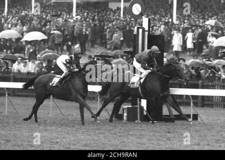 Le Brigadier Gerard, monté par Joe Mercer, bat la rareté de l'irlandais (à gauche), avec Pat Eddery en haut, dans une finition photo aux enjeux de champion de 35,000 £ à Newmarket. La victoire à tête courte du brigadier Gerard a étendu son record inbattu à 10 courses. Le Gallois Pageant était troisième. Banque D'Images