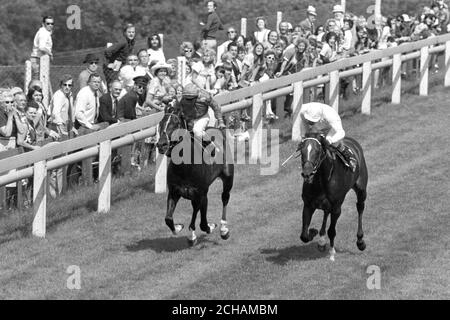 Sallust (à droite), monté par Joe Mercer, bat High Top, Willie Carson en haut, en fin de compte des enjeux du Sussex à Goodwood. Banque D'Images