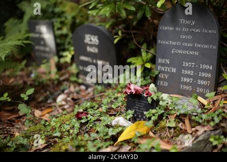 Vue sur les tombes du cimetière pour chiens situé dans les bois du village touristique de Portmeirion à Gwynedd, au nord du pays de Galles. APPUYEZ SUR ASSOCIATION photo. Date de la photo: Jeudi 14 juillet 2016. Le crédit photo devrait se lire: Yui Mok/PA Wire Banque D'Images