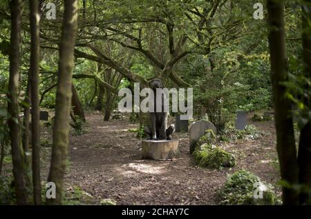 Vue sur les tombes du cimetière pour chiens situé dans les bois du village touristique de Portmeirion à Gwynedd, au nord du pays de Galles. APPUYEZ SUR ASSOCIATION photo. Date de la photo: Jeudi 14 juillet 2016. Le crédit photo devrait se lire: Yui Mok/PA Wire Banque D'Images