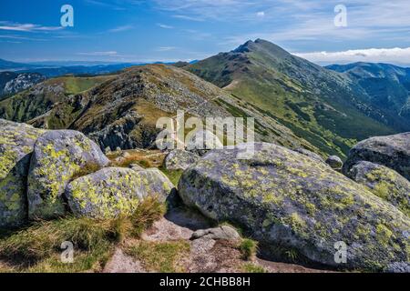 Rochers couverts de lichens, sommet de Dumbier à distance, parc national de Low Tatras, région de Zilina, Slovaquie Banque D'Images