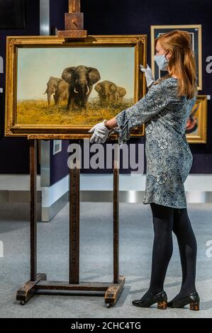 Londres, Royaume-Uni. 14 septembre 2020. David Shepherd, Afro Elepophants in teh Savanna, est £15-25,000 - Aperçu de la vente d'art britannique et irlandais moderne de Bonhams dans leur salon Knightsbridge. Crédit : Guy Bell/Alay Live News Banque D'Images