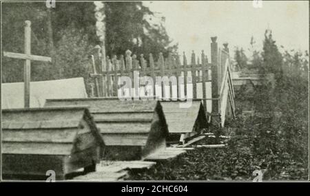 . Sur les sources de la rivière de la paix : un récit d'un voyage en canoë de mille kilomètres dans une gamme peu connue des Rocheuses canadiennes. Ow avait mis en place un protusesupply de viande d'orignal séchée où nous ne pouvions pas échouer la tofind. Heureusement, nous avons eu besoin de rien exepta cuillerée de poudre à pâte, que nous avons pris, mais wewere aucun moins reconnaissant. Le petit homme avait le sifflet orné de photos coupées des magazines et des journaux du dimanche, et il avait, merveille des merveilles ! alittle phonographe et environ une demi-douzaine de disques. Whilewe cuisiné et mangé déjeuner nous les avons tous joués. L'un d'entre eux était la maison, la maison douce! Un phon Banque D'Images