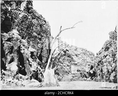 . À travers l'Australie . sur eux a été pbliterated par frottement constant ; Pour de temps en temps, quand les sacredcérémonies sont promulguées, certains des Churinga saules sont portés sur le terrain cérémonial et vénérés avec de la graisse et de l'ocre rouge tandis que les plus âgés mentell les plus jeunes les noms et les actes de ces tochom qu'ils appartenaient autrefois (Fig. 107). Chaque cérémonie est supposée représenter un épisode dans la vie d'un ancêtre, sans fin comme ces cérémonies sont, ce sont des questions d'une grande importance pour les autochtones. Dans la tribu Arunta eachChuringa et cérémonie est également la propriété de someindi Banque D'Images