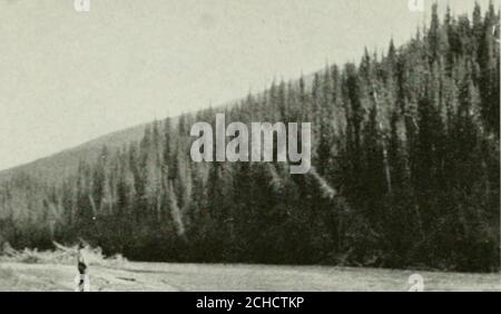 . Sur les sources de la rivière de la paix : un récit d'un voyage en canoë de mille milles dans une chaîne peu connue des Rocheuses canadiennes . QU.VDACHA JUSTE ABOE LA BOUCHE. Banque D'Images