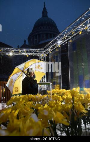 USAGE ÉDITORIAL SEUL UN visiteur regarde le jardin de la lumière, qui est 4000 jonquilles illuminés créés par Marie Curie pour lancer leur grand appel Daffodil, sur la place Paternoster, Londres. ASSOCIATION DE PRESSE. Date de la photo : jeudi 1er mars 2018. Chaque jonquille représente une personne touchée par une maladie terminale que Marie Curie soutiendra ce mois-ci. Des motifs de jonquille sur mesure ont été créés par Stephen Fry, Louise Redknapp, Alesha Dixon et d'autres personnes et peuvent être vus par le public jusqu'au 11 mars. Le crédit photo devrait se lire: David Parry/PA Wire Banque D'Images