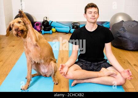 SOUS EMBARGO À 0001 LUNDI MARS 19 USAGE ÉDITORIAL SEUL Paul Spears pratique le yoga avec son chien vizsla Maple comme Argos lance la Maison de la condition physique, de restauration à de nouvelles tendances telles que "Petscercise", qui selon la recherche est la dernière séance d'entraînement de choix. Banque D'Images