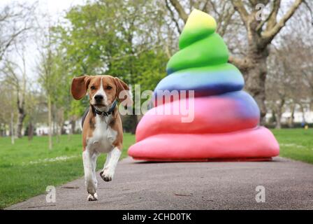 Beagle Honey, a passé un modèle de « croo arc-en-ciel » dans West Ham Park à Newham, pour annoncer un nouveau service de l'opérateur mobile TROIS, qui sera lancé le jeudi 26 avril. Banque D'Images