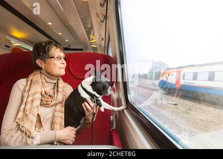 Sacha, un terrier de Boston, avec le propriétaire Jan Van Nuland, voyage en train pour célébrer le lancement du guide et de la vidéo « train-train », qui a été créé par les trains East Midlands en partenariat avec le comportementaliste canin Colin Tennant, alors qu'ils lancent une nouvelle gamme de dispositions adaptées aux petits trains sur des itinéraires sélectionnés. Banque D'Images