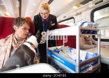 SOUS L'EMBARGO DU 0001 JEUDI 16 MAI USAGE ÉDITORIAL SEULEMENT Sacha, un terrier de Boston, avec le propriétaire Jan Van Nuland et la gestionnaire de train Paulina LIS-Jones Voyage en train pour célébrer le lancement du guide et de la vidéo de ÔDog train-ing, Créé par les trains East Midlands en partenariat avec le comportementaliste canin Colin Tennant, lors du lancement d'une nouvelle gamme de dispositions adaptées aux petits trains sur certaines routes. Banque D'Images