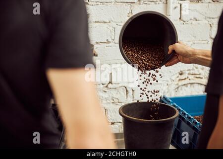 Un jeune homme verse des grains de café dans le seau Banque D'Images