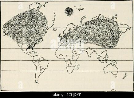 . Hérédité et évolution des plantes . tion de se-quoia pendant l'ère cénozoïque. La croix indique la seule localisation connue des spécimens vivants. (Après E. V. Berry.) avec seulement deux (ou peut-être trois) genres vivants et des espèces sométales, et avec une distribution large mais discontinue, est beaucoup plus ancienne. La plus grande antiquité indiquée pour les Osmundaceae par les faits de leur répartition géographique est également attestée par des preuves fossiles, et plus encore par la thénature de leurs spores. Les spores, lorsqu'elles sont matures, la chlorophylle, et ce fait, en soi, indique l'antiquité; pour ce qui est de la structure et d'autres ph Banque D'Images