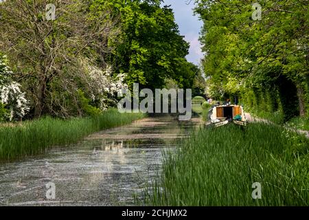 Une barge ou un bateau à rames sur la ligne Leicester du Grand Union Canal près de Foxton Locks, Leicestershire, Angleterre, Royaume-Uni Banque D'Images
