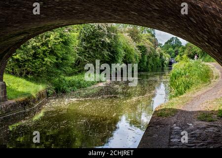 Sous le pont n° 72 traversant le Grand Union Canal, le portail sud-est du tunnel de Saddington au loin, Leicestershire, Angleterre, Royaume-Uni Banque D'Images