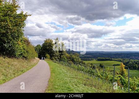 Le sentier North Downs Way dans les collines de Surrey près de Dorking Surrey Angleterre Royaume-Uni Banque D'Images