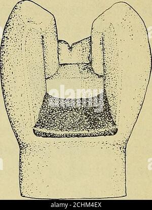 . Techniques d'anatomie opératoire et dentaire; manuel de classe et de laboratoire pour les étudiants en médecine dentaire de première année . Figure 198.—le mur de gingival recouvert. Figure 199.—construire le long du mur axial. Banque D'Images