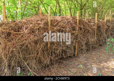 Benjes haies une haie naturelle construite par le bois mort Banque D'Images