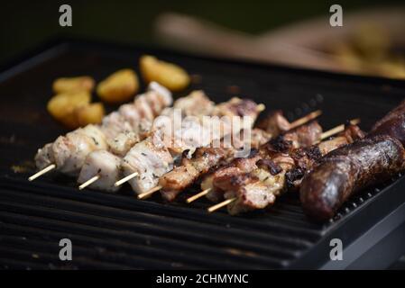 Viande fraîche et saucisses cuites dans la nature sur le feu. Cuisine gastronomique Banque D'Images