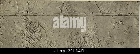 . Enquête archéologique des mémoires de l'Égypte . 2. PAROI NORD : PARTIE DU REGISTRE 3. (VOIR LA PLAQUE III). MEIR II TOMBE-CHAPELLE B, N° 2. PLAQUE XXVI.. R -A ! Banque D'Images