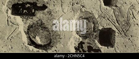 . Enquête archéologique des mémoires de l'Égypte . ^^KVT ^ v... 2. PAROI NORD : PARTIE DU REGISTRE 3. (VOIR LA PLAQUE III). MEIR II TOMBE-CHAPELLE B, N° 2. PLAQUE XXVI. Banque D'Images
