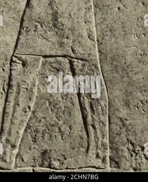 . Enquête archéologique des mémoires de l'Égypte . 3 *:* v;-fr^9ftf^7:#^¥ ;. £*** vv^1 1. PAROI NORD: PARTIE DU REGISTRE 3. (Voir plaques II et III). Banque D'Images