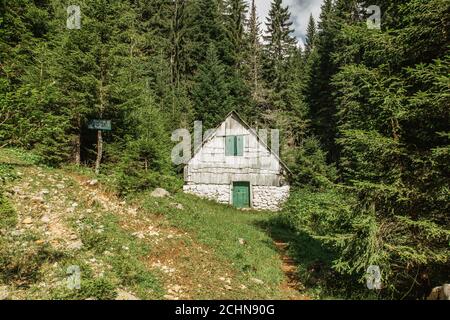 Petite hutte en bois abandonnée cachée dans la forêt du parc national de Durmitor, Montenegro.vue de la nature verte fraîche, maison rurale, arbres en arrière-plan.calme Banque D'Images