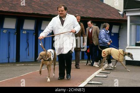 Brent Walker Hackney Greyhound Racing Stadium London, Royaume-Uni. William Hill Super Trapper réunion 1987 Banque D'Images
