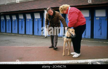 Brent Walker Hackney Greyhound Racing Stadium London, Royaume-Uni. William Hill Super Trapper réunion 1987 Banque D'Images
