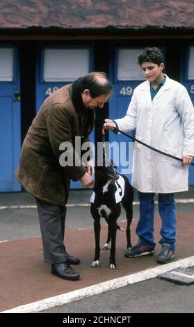 Brent Walker Hackney Dog Racing Stadium London, Royaume-Uni. William Hill Super Trapper réunion 1987 Banque D'Images