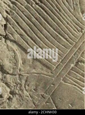 . Enquête archéologique des mémoires de l'Égypte . 1#M ^MFC aw 2 PAROI NORD : PARTIE DU REGISTRE 2. (Voir plaque III). MEIR II TOMBE-CHAPELLE B, N° 2. PLAQUE XXII. Banque D'Images