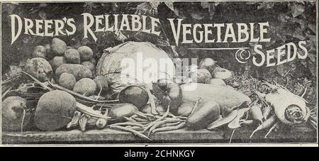 . Liste de prix de gros des jardiniers du marché de Dreer : semences de légumes fiables, graines de fleurs, articles de jardin, outils, insecticides, etc . r Dreers Sélectionner plantes Greenhouse, Beddingand Hardy n ? Il ne fait aucun doute que beaucoup de ceux qui obtiennent ce catalogue savent que nous sommes les plus grands producteurs de fleurs décoratives et de plantes de Foliage S dans le pays. Nos pépinières couvrent plus de 200 acres, dont plus de dix acres sont couvertes par des structures modernes de serre. Plus de la moitié de notre livre de jardin pour 1909, est consacré à cette partie de notre entreprise, et ^ si vous voulez être Palms, Ferns, ou d'autres stocks décoratifs, ca Banque D'Images