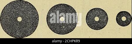 . Techniques d'anatomie opératoire et dentaire; manuel de classe et de laboratoire pour les étudiants en médecine dentaire de première année . t^ Fig. 82.—disques Emery Cloth. Banque D'Images