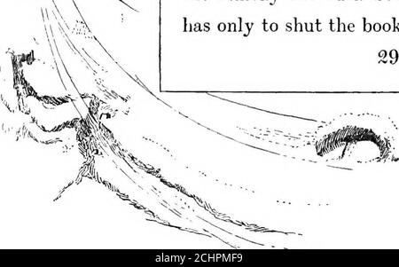 . Le livre des mois . ^ LE LIVRE DES MOIS les baies brillent rouge dans le vert foncé de l'ivy.les éraflures que nous avons brûlées sur le foyer, et les feuilles vertes sont encore craquelés et éclatent, et la chambre est aromatique avec l'odeur de leur—l'odeur, ainsi il m'a toujours semblé, pendant Noël. À l'extérieur de la même merveilleuse, le gel sans vent lie encore la terre, et dans le fortessof de l'air les étoiles sont visibles presque vers le bas de l'horizon, et les feuilles de neige scintillent faiblement dans le crépuscule doux d'eux. Pourtant, j'ai encore lingerici, finissant les quelques mots qui restent à la machine à écrire de ce petit livre de mois qui disent Banque D'Images