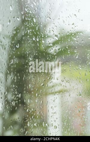 Gouttes d'eau sur la fenêtre. Arrière-plan des gouttes de pluie sur verre transparent Banque D'Images