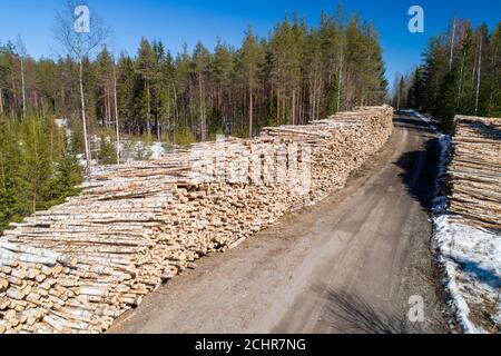 Vue aérienne des pieux de grumes de bouleau récoltés le long d'une route forestière à Spring, Finlande Banque D'Images