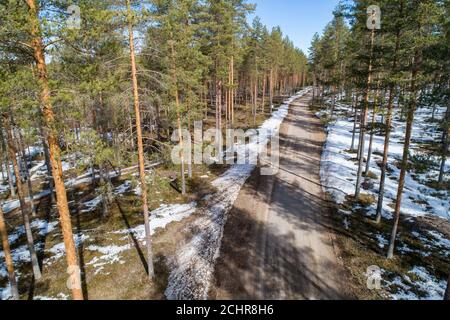 Route forestière traversant la forêt de conifères , pins ( Pinus sylvestris ) à Spring , Finlande Banque D'Images