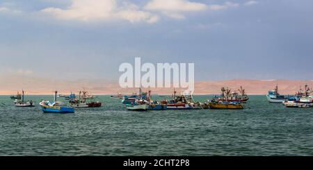 La baie de Paracas est bien connue pour sa faune abondante, ses eaux peu profondes plus chaudes nourrissent la faune, les îles Ballestas, le Pérou, l'Amérique du Sud Banque D'Images