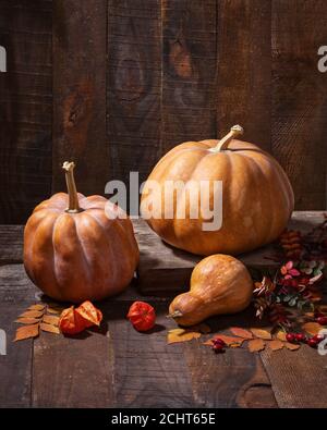 Tombez encore la vie avec des citrouilles, des feuilles d'automne colorées, des baies de rosehip et des physalis sur fond de vieux mur en bois. Banque D'Images