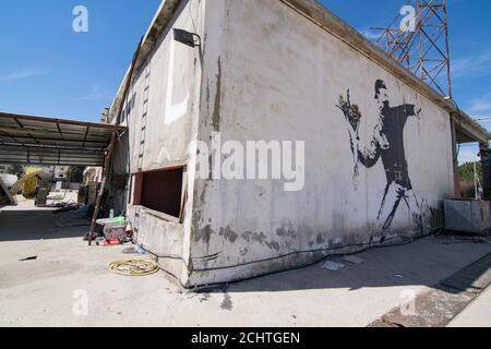 La célèbre fresque de Banksy 'rage, le lanceur de fleurs (l'amour est dans l'air)' qui est peinte sur un lavage de voiture dans une banlieue de Betlehem (Palestine) Banque D'Images