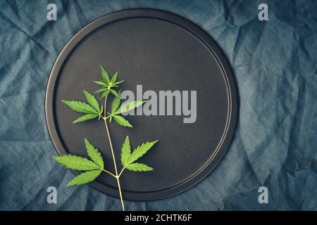 Modèle avec feuilles de marijuana sur fond sombre pour les produits à base de cannabis, huile de CBD Banque D'Images