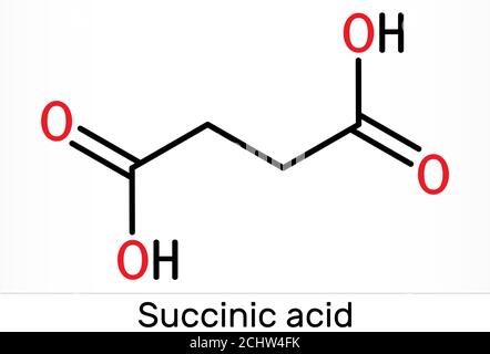 Acide succinique, acide butanedioïque, molécule C4H6O4. Il s'agit de l'additif alimentaire E363. L'anion, le succinate, est un composant de l'acide citrique ou TCA. Produit chimique squelettique Banque D'Images