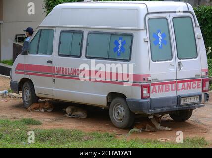 Les chiens de rue dormant sous une ambulance qui est utilisée pour le transport de cadavres qui sont morts à cause du coronavirus. Agartala, Tripura, Inde. Banque D'Images