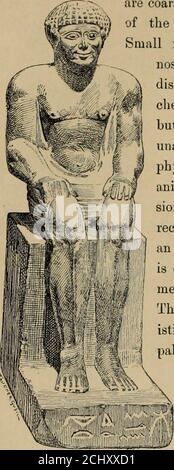 . L'aube de la civilisation : Egypte et Chaldaea . OPS ; et toute paysanne 1 Statue de Ûsiri (VIème dynastie) dans le Musée Gizeh. D'une photo d'Emil Brugsch-Bey. 2 selon Virchow (Anthropologie JEgyptens, i. 1), cette impression n'est pas corroborée par les faits.Sundry Orientistes, surtout Birch (l'Égypte depuis les débuts jusqu'en colombie-britannique) 309-310) et Sayce(The Ancient Empires of the East, pp. 309, 310), ont noté des différences considérables de type amongles personnages représentés sur des monuments de différentes périodes. Virchow (Die Humien der Kônigeim Museum von Bulaq, p. 17, cf. Sitzungsberic Banque D'Images