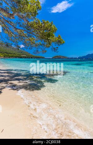 Platja de Formentor - belle plage de sable à Cap formentor, Majorque, Espagne Banque D'Images