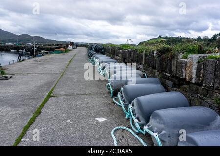 Le petit port de Tuoïste, comté de Kerry, Irlande sur la péninsule de Beara avec des flotteurs de moules alignés sur la jetée. Il y a un certain nombre de fermes de moules Banque D'Images