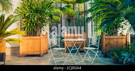 Mobilier de jardin en métal, tabourets et table debout dans des plantes tropicales orangery avec des palmiers dans des parterres en bois. Temps de détente dans l'intérieur biophile Banque D'Images