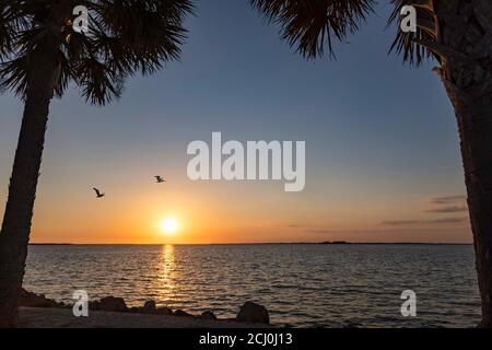 Coucher de soleil avec des pélicans volants près de Sanibel Island, Floride, États-Unis Banque D'Images